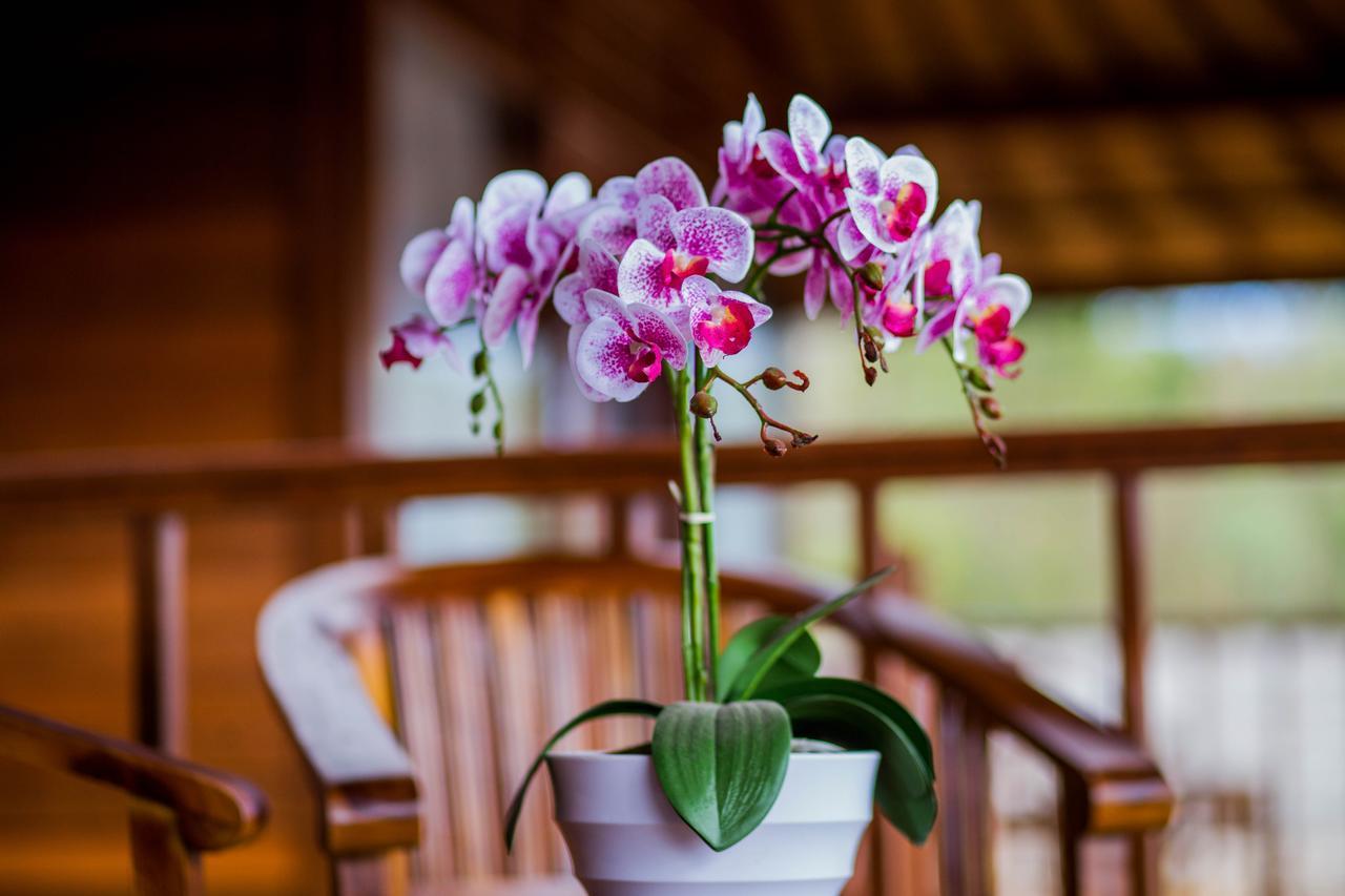 Samanta Huts Hotel Nusa Lembongan  Ngoại thất bức ảnh